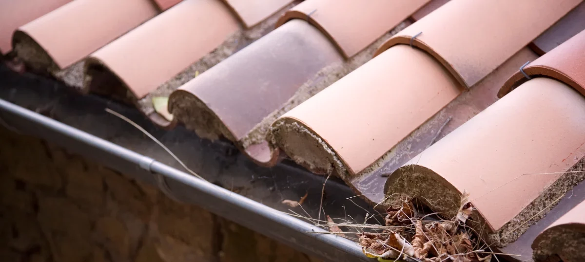 Blocked-or-Rusted-Gutters