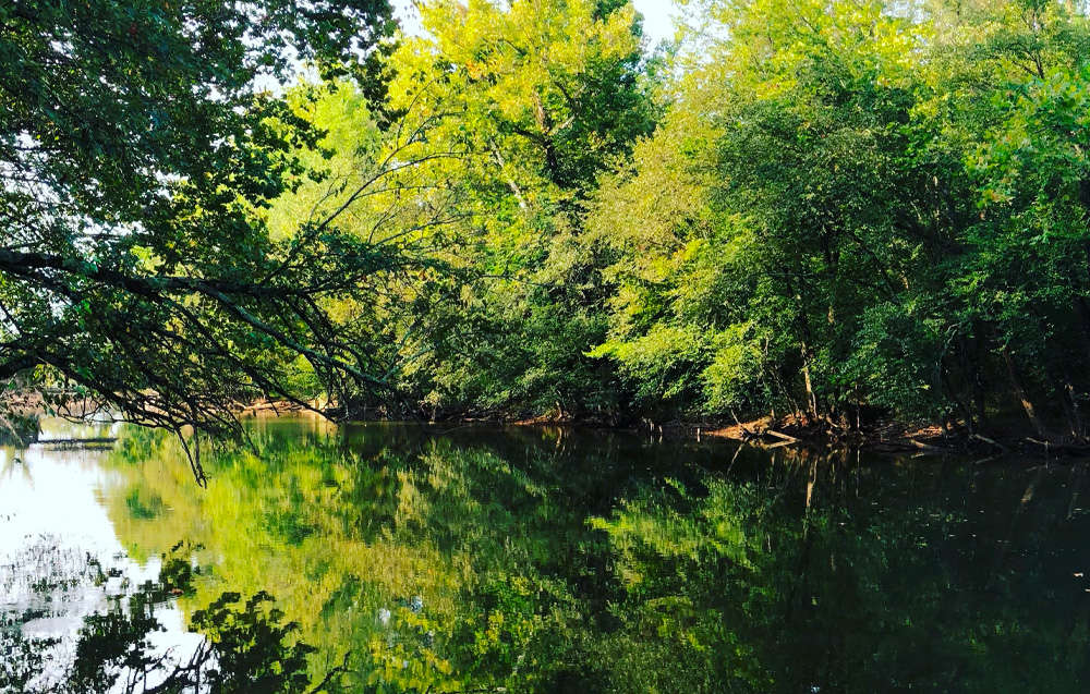 Canal Fulton