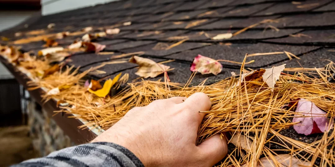 How to Clean Roof Shingles – Tips for a Sparkling Roof