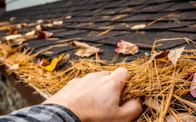 How to Clean Roof Shingles – Tips for a Sparkling Roof
