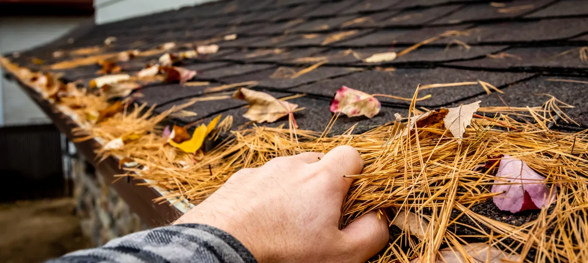 How to Clean Roof Shingles - Tips for a Sparkling Roof