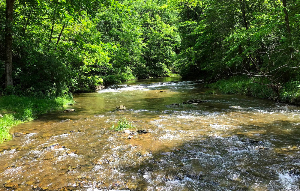 Silver Creek