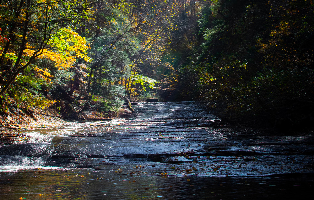 Riverside