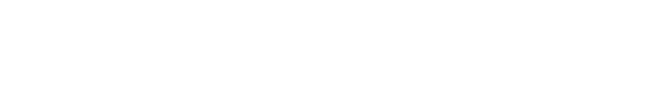 A solid black horizontal bar.