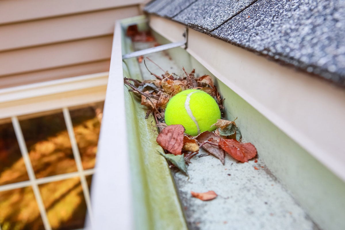 A tennis ball stuck in a clogged gutter with leaves
