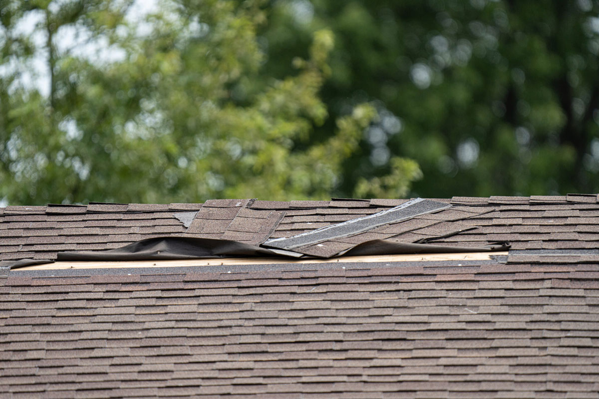 Damaged roof with missing and torn shingles A close-up view of a damaged roof with missing and torn shingles. The roof appears to be made of brown shingles.