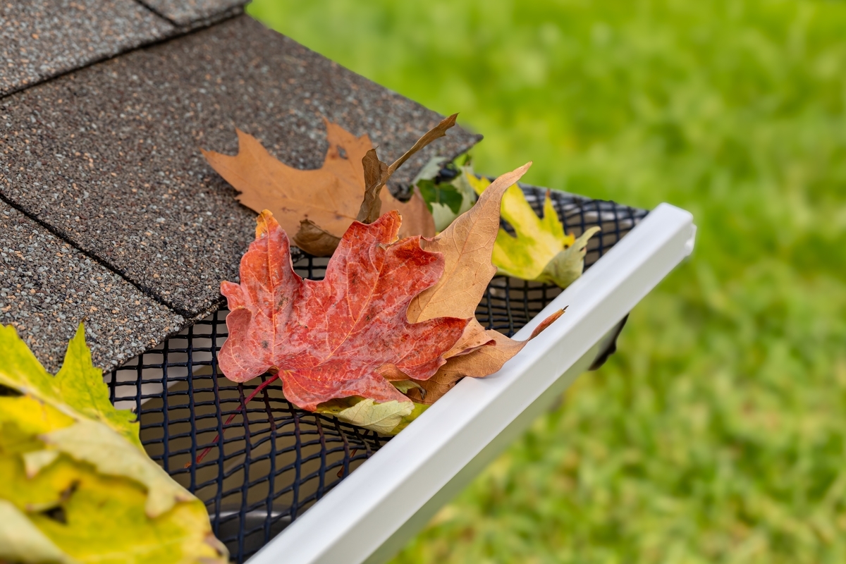 A gutter guard with leaves on a roof edge. Protecting gutters from debris.