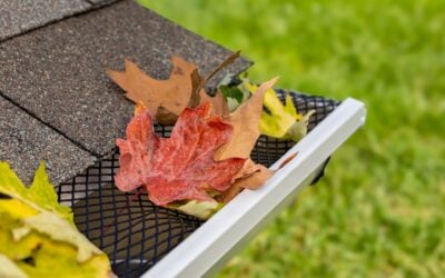 How to Prepare Your Home for Fall with Gutter Guards