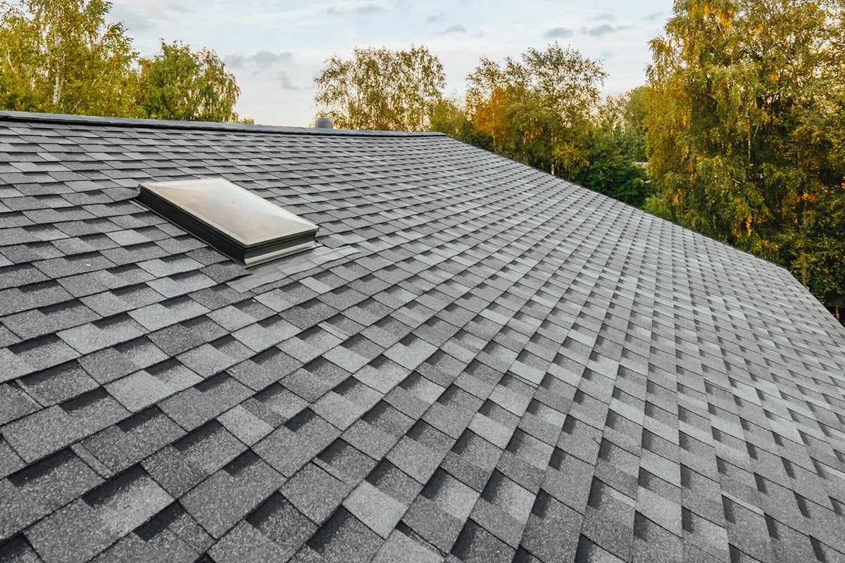 A dark gray roof with a skylight surrounded by trees. The roof features a unique shingle pattern.