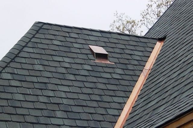 Roof with slate shingles, skylight and copper gutter. A tree is visible in the background.