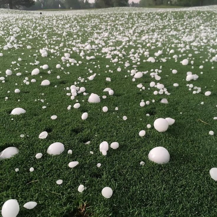 Hailstones scattered across a lush green field. The hailstones vary in size.