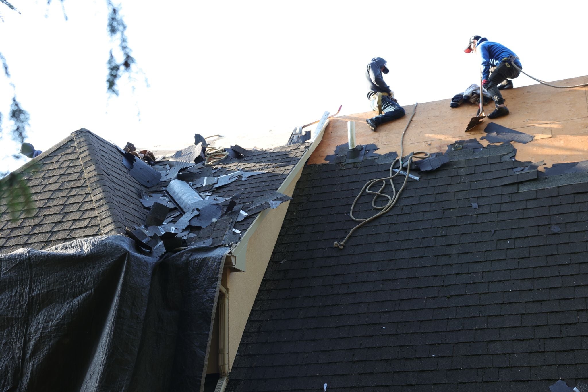 Two roofers working on a roof with black shingles. Workers are removing old shingles.