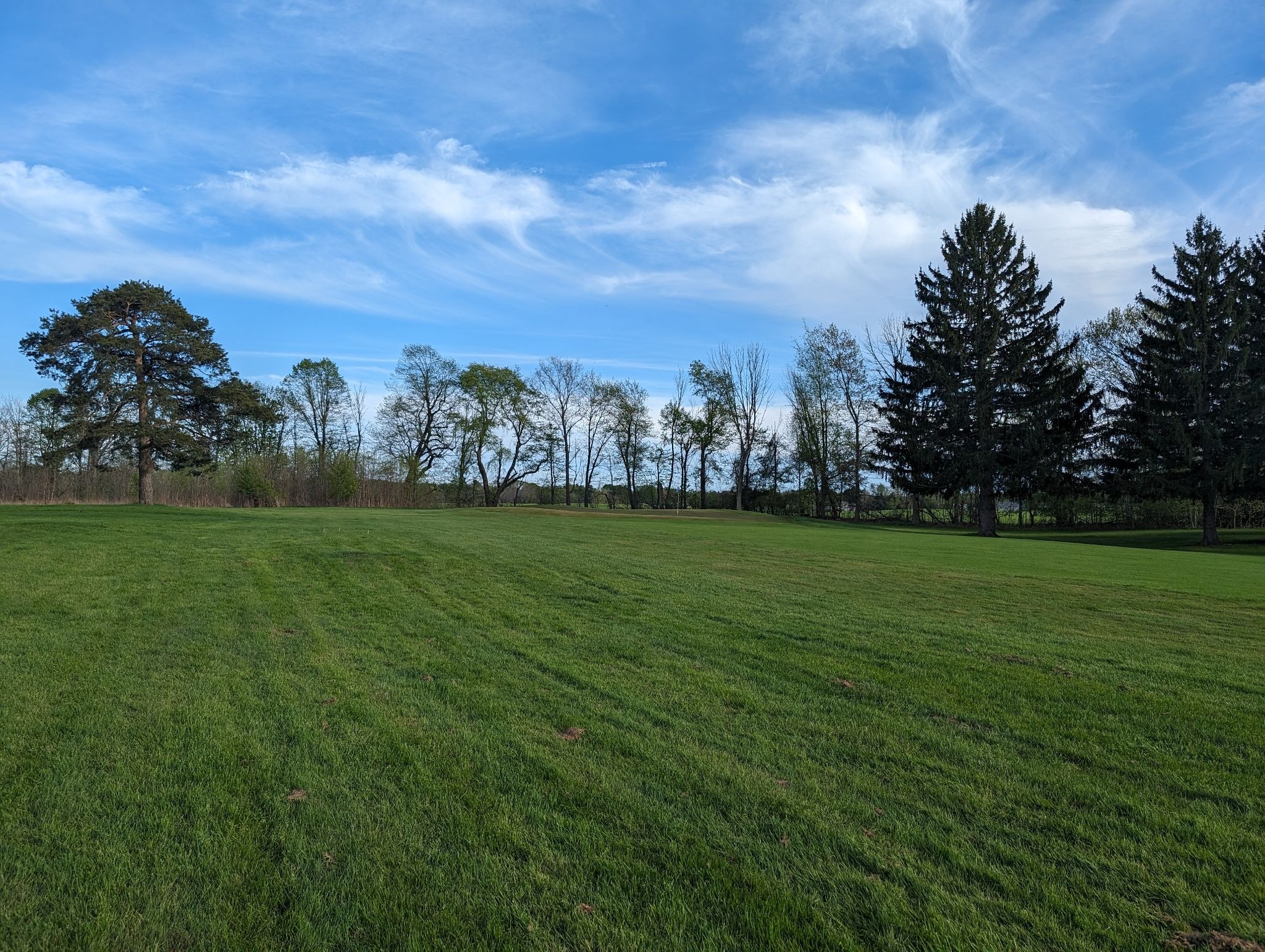 A serene landscape with green grass and trees. Blue sky with clouds.