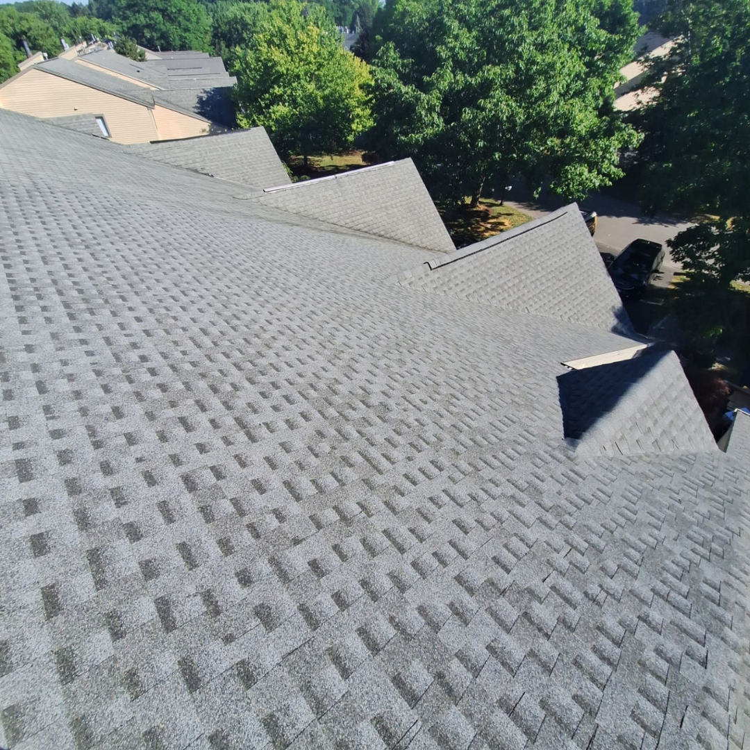 A close-up view of gray roof tiles in a suburban neighborhood. The scene includes surrounding houses and green trees.