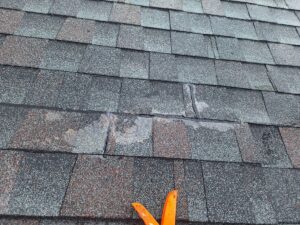 Close-up of gray asphalt shingles on a roof with orange roofing tools visible.