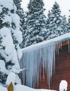 Snow-covered evergreen trees surround a wooden cabin where long icicles hang from the roof edge in winter.