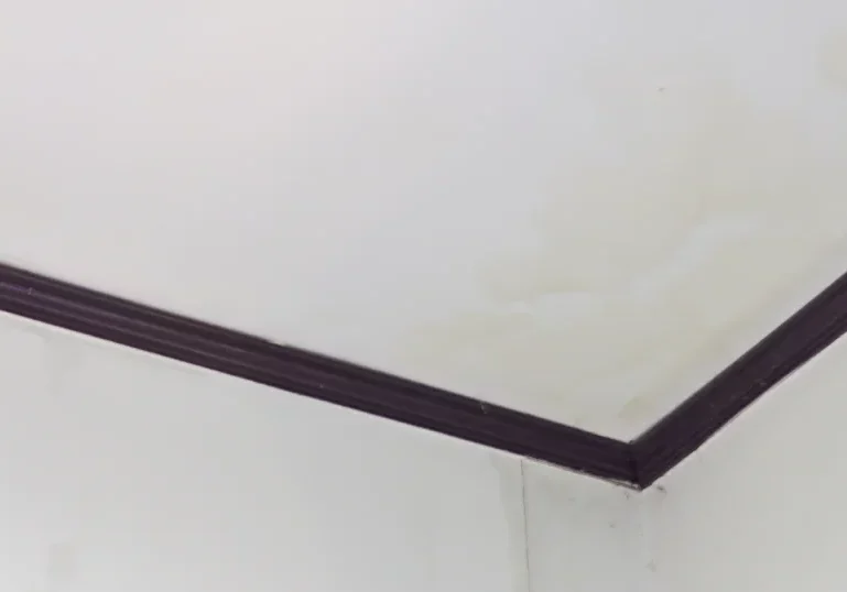 Ceiling Stains