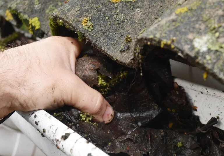 Clogged Gutter Full of Debris and Leaves A hand pointing to a clogged gutter. Gutter full of dirt and debris.