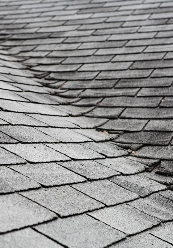 A close-up view of damaged roof shingles with curled edges. The shingles appear to be weathered and worn.